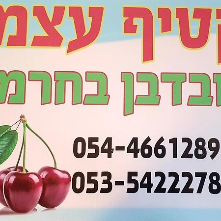 צימרים בגולן דובדבן בחרמון Mas'ada Экстерьер фото
